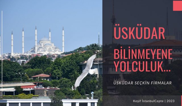 Üsküdar Popüler Firmalar