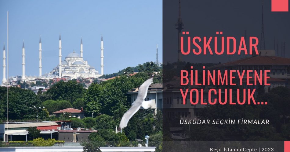 Üsküdar Firmalar!