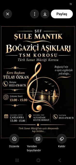 şule mandık