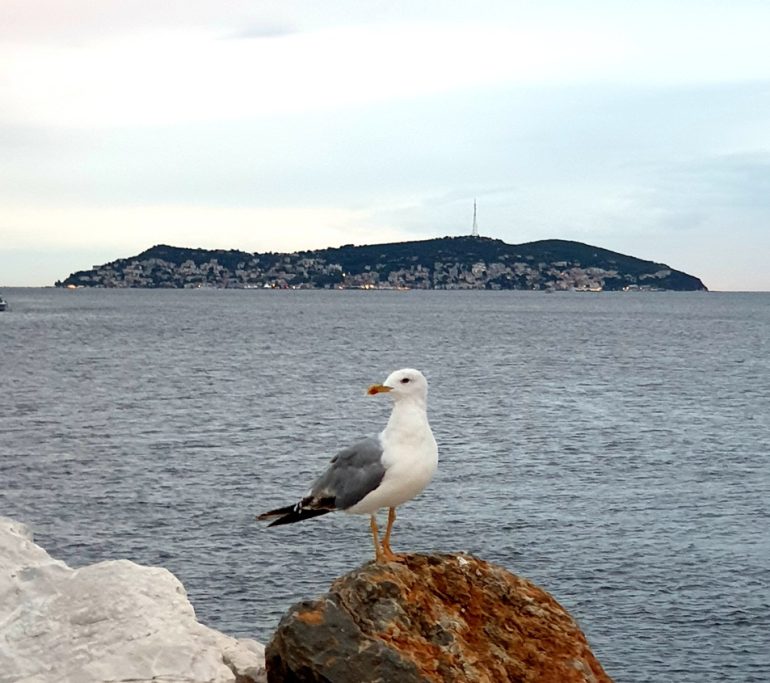 caddebostan sahili