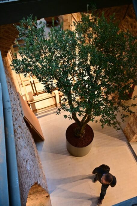 Karaköy Kuyumcu Han: Restorasyon Hikayesi ve Gezi Notları